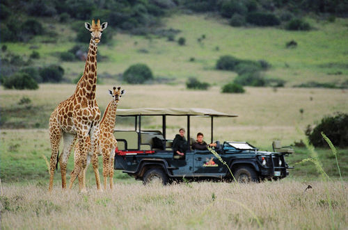Amakhala Safari Lodge Paterson Exterior photo