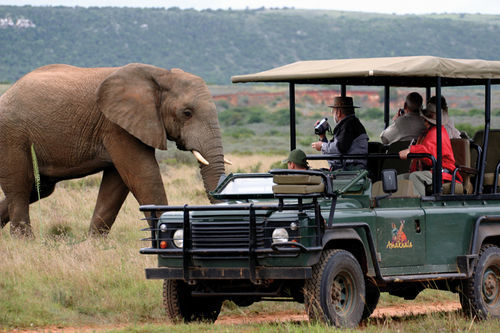 Amakhala Safari Lodge Paterson Exterior photo