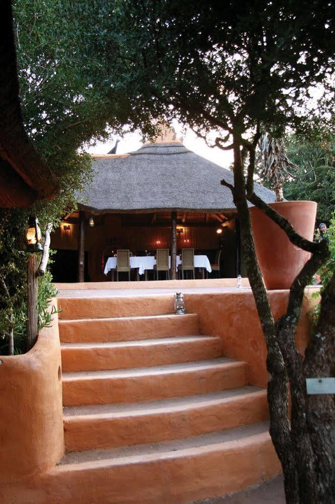 Amakhala Safari Lodge Paterson Exterior photo