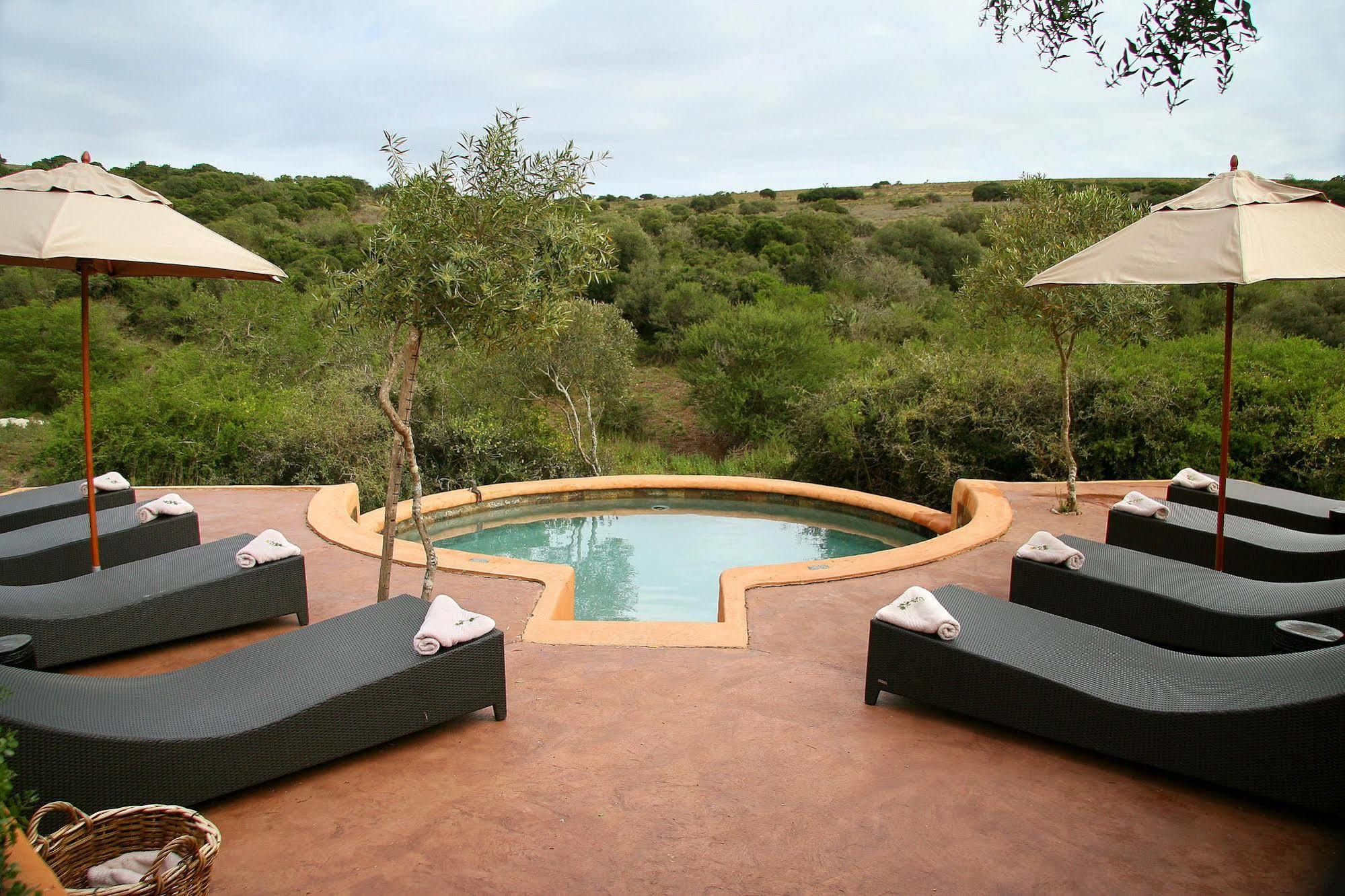 Amakhala Safari Lodge Paterson Exterior photo